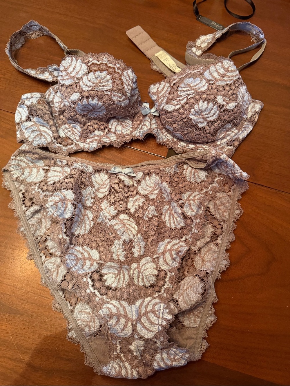 Lise Charmel French Floral Lace Underwire Bra & Brief Set in Taupe and light blu